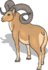 Bighorn Sheep Rear View Clip Art